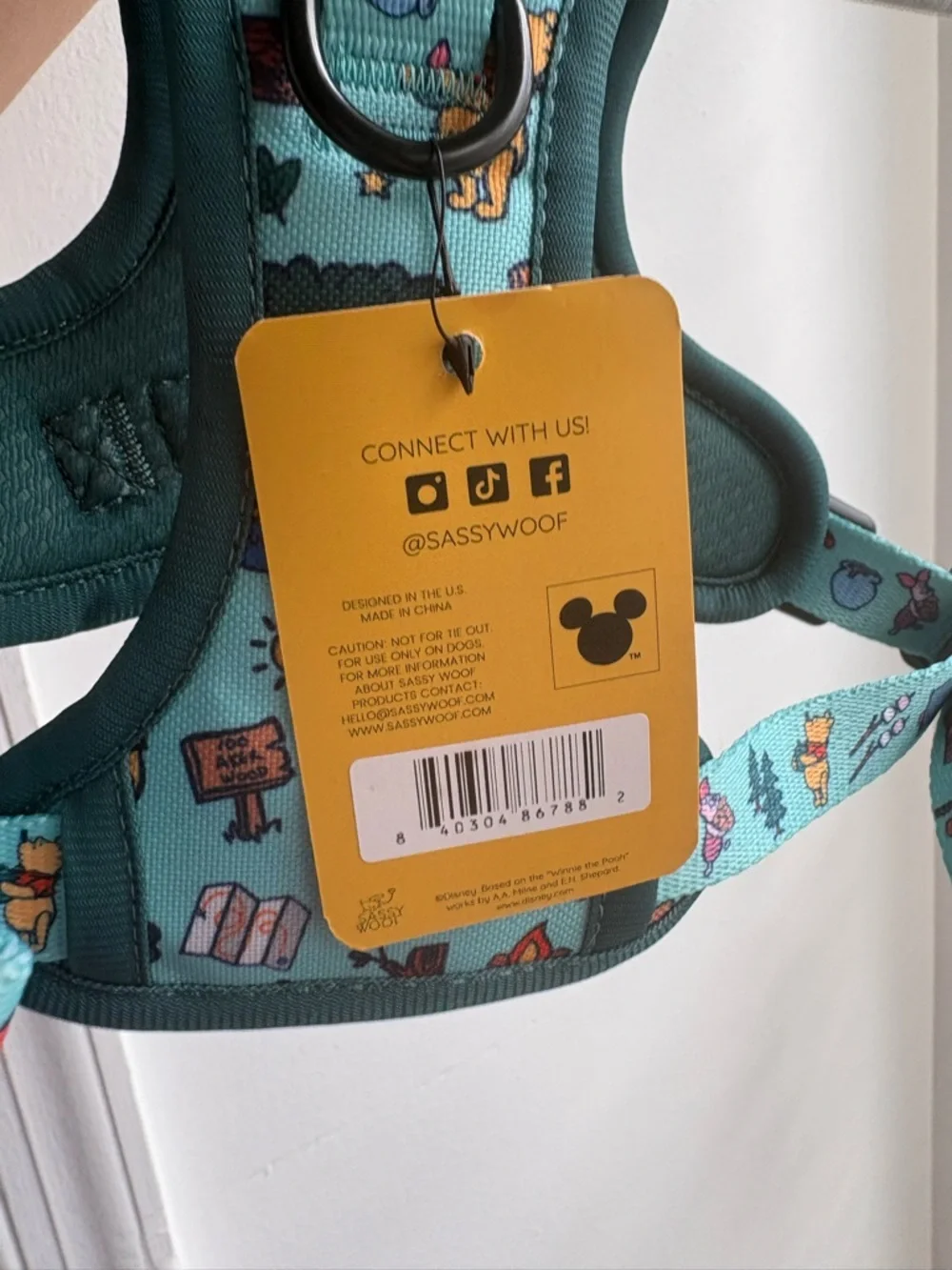 Disney Kids Teal Winnie the Pooh Harness Vest size small